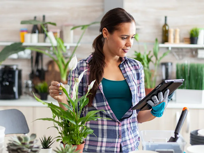 Unlock Fresh Growth Opportunities with B2B